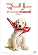 �}�[���[ ���E�ꂨ�o�J�Ȍ��������Ă��ꂽ���� (���ʕ�) [DVD]