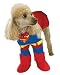 Search : Superman Pet Dog Costume