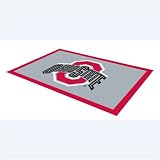 Ohio State Buckeyes NCAA Jute Boucle Rug (48x72)