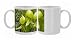Photo Mugs of An insectivorous plant Cobra Lily from Ardea Wildlife Pets
