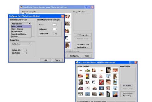 Easy Photo Jewelry Resizer Cd