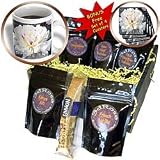 WhiteOak Photography Floral Prints - A Perfect Peony White Peony Flower - Coffee Gift Baskets - Coffee Gift Basket