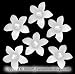 Set of 6 Pearl Stephanotis Flower Bridal Hair Pins