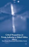 Critical Perspectives on Private Authority in Global Politics