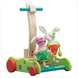 Hopping Bunny Walker Push Toy