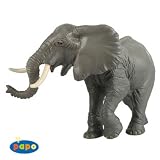 Trumpeting Elephant (雄たけびをあげる象)