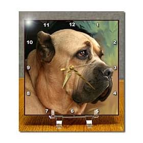 Cane Corso - 6x6 Desk Clock by 3dRose LLC