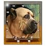 Cane Corso - 6x6 Desk Clock