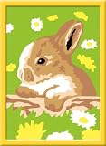 Ravensburger 29556 - H�schen Flecki - Malen nach Zahlen, 8.5 x 12 cm