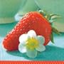 Strawberry Blossom Beverage Napkins