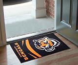 Cincinnati Bengals Starter Rug