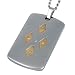 Stainless Steel/14K 5 Diamond Men's Dog Tag Necklace