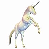 Unicorn 2 - 36H x 36W - Peel and Stick Wall Decal by Wallmonkeys