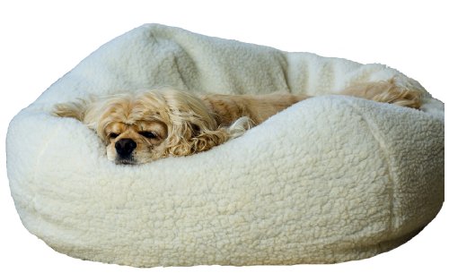 Carolina Pet Co.® Sherpa Puff Ball