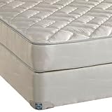 Cal King Sealy Amicable Firm Mattress