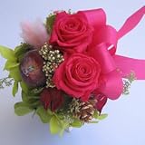 �y�z���C�g�f�[�z�W�����G�b�g�@juriet�@�f�B�[�v�s���N�i�v���U�[�u�h�t�����[�j�A�����W�����g�i���َq�t���j�y���j���E�L�O���E�a�����E�t�����[�M�t�g�E�o���z
