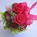�y�z���C�g�f�[�z�W�����G�b�g�@juriet�@�f�B�[�v�s���N�i�v���U�[�u�h�t�����[�j�A�����W�����g�i���َq�t���j�y���j���E�L�O���E�a�����E�t�����[�M�t�g�E�o���z