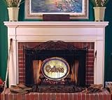 Florida Gators Fireplace Screen