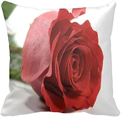 Home Decorative Square Custom Throw Pillow Cover print Printable Flower Stencils 18 X 18Inches Cotton Comfortable Throw Pillowcase(Twin Sides)