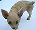 Collectible Badges Peeing Tan Chihuahua Dog Lawn Garden Statue - 4.5