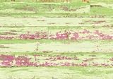Bungalow Fo Flor Large Accent Rug, Painted Floor, 36" x 24", 64847
