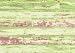 Bungalow Fo Flor Large Accent Rug, Painted Floor, 36