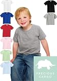Precious Cargo Toddler Tee