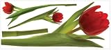 RoomMates RMK1308GM Tulip Peel and Stick Wall Decal