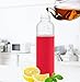 Swig Savvy Borosilicate Glass Water Bottle 20oz, with Durable Nylon Sleeve