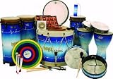 Remo HealthRHYTHMS DP-0080-00 Healthrhythms Mini Collection Percussion Set