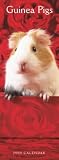 Guinea Pigs 2009 Slimline Calendar