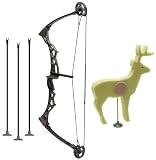 Nxt Generation Boys Compound Bow with 3 Arrows and Target