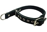 Martingale High Quality Genuine Black Double Ply Leather Dog Collar Choker Medium to Large Fits 15.5"-19" Neck.