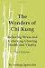 The Wonders of Chi Kung: Relieving Stress and Unlocking Glowing Health and Vitality, Third Edition