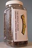 Cheap Deals on The Sprout House Veggie Queen Salad Mix Organic Sprouting Seeds - Red Clover, Red Cabbage, Red Lentil, French Lentil, Daik... by The Sp