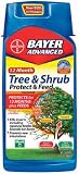 Bayer #701510A 12-Month Tree and Shrub Protect and Feed Concentrate-32-Ounce