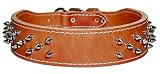 2 Taper Protector Spiked Collar