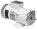 Marathon Motors 1/2 HP DC Washdown Motor DC Permanent Magnet,1750 Nameplate RPM 180VDC Voltage 56C Frame
