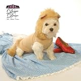 DOGGIE DESIGN (ドギーデザイン)Hoodie Lion Costume　S