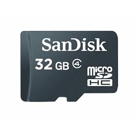 Buy SanDisk 32 GB microSDHC Flash Memory Card (card only) SDSDQM-032G now!