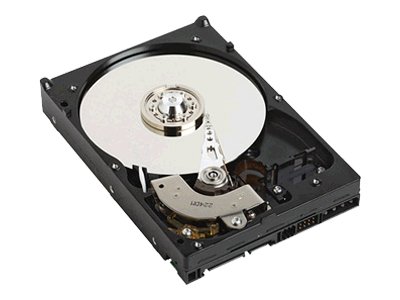 Western Digital 320 GB Caviar Blue PATA 7200 RPM 8 MB Cache Bulk/OEM Desktop Hard Drive WD3200AAJB