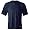 Classic Navy