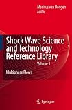 Shock Wave Science and Technology Reference Library, Vol. 1: Multiphase Flows I
