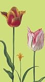 Caspari Tulipa Set of 15 Paper Guest Towels, Green