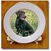 Chocolate Labrador Retriever - 8 Inch Porcelain Plate