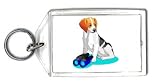 Keychain with binoculars, beagle, dog