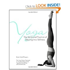Yoga The Spirit And Practice Of Moving Into Stillness