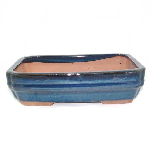 26cm Glazed Bonsai Pot - Blue