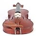 Cecilio CVA-400 Handmade Rosewood Fitted Viola Outfit - 14 Inches