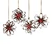 Lodge Rustic Metal Star Christmas Ornaments Set of 4